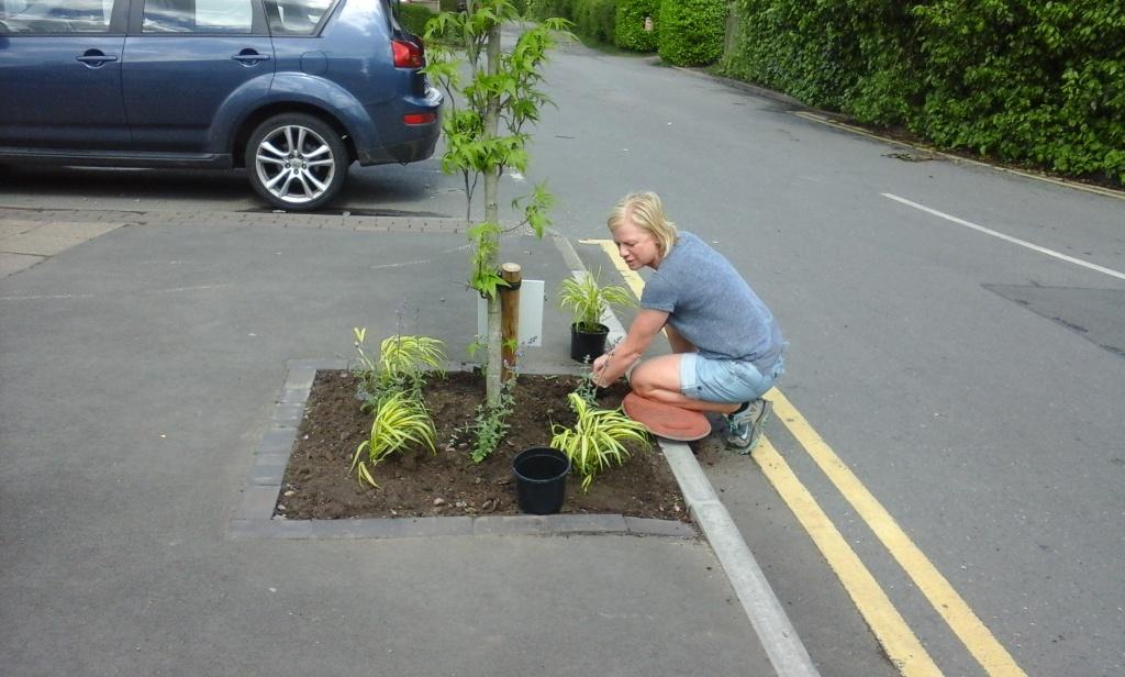 The Society maintains 25 planters and beds across Balsall Common, Berkswell village, Carol Green and Nailcote. 
