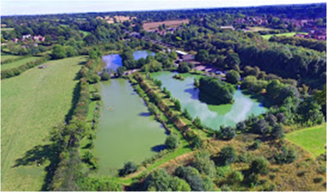 The Lavender Hall Fishery